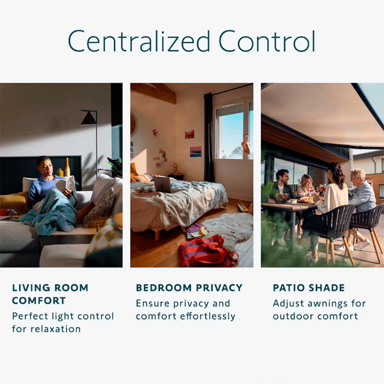Somfy Telis 16 Remote